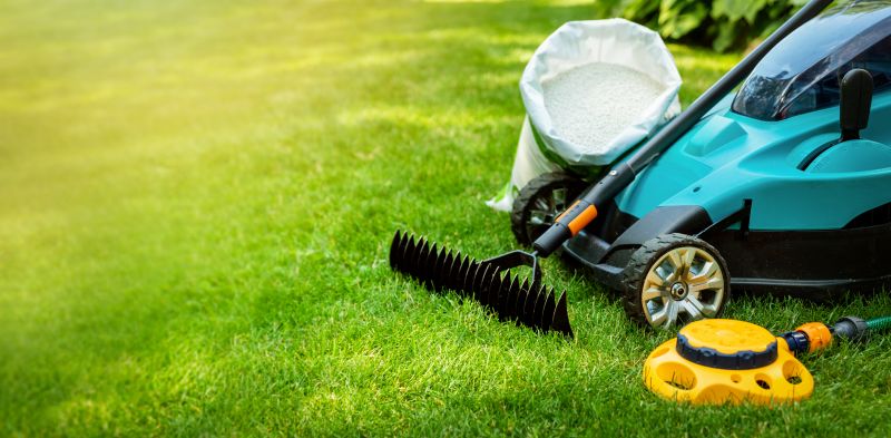 Healthy Lawn Preparation