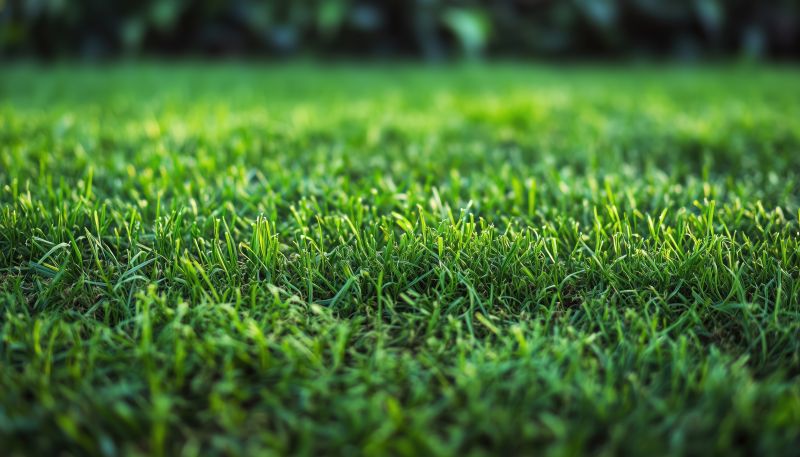 Turfing Service in Rockwall, TX